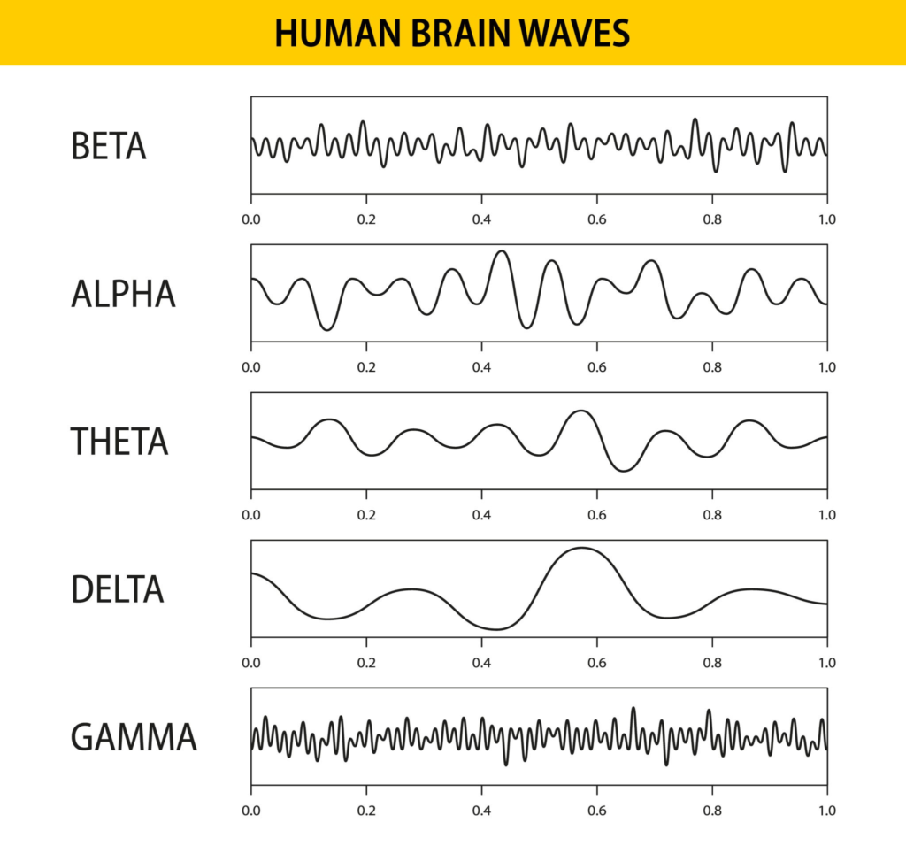 The image of brain waves, beta, alpha, theta, delta and gamma waves, represents different operating modes of the human mind in different situations.